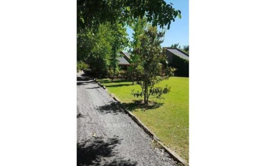 Bodega Liray, Lo pinto