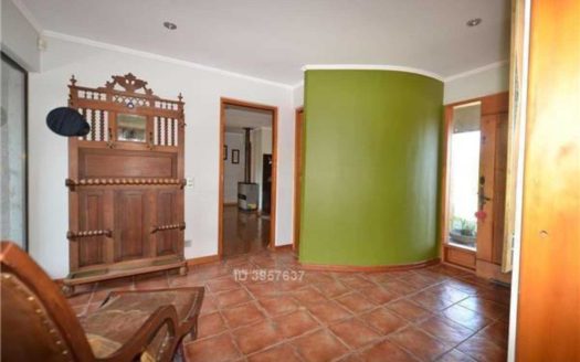 Bodega Liray, Lo pinto